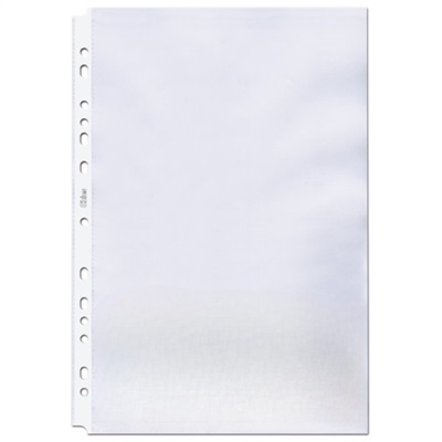 Envelope Protetor de Documentos A4 Chies Hemon Furação Universal PP 1592-6 1 UN
