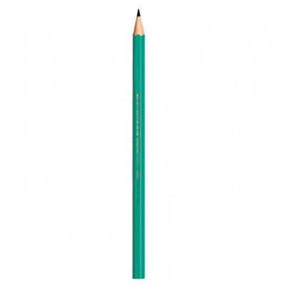 Lápis Bic HB Nº2 Evolution Hexagonal Preto 1 UN