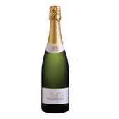 Espumante Brut 750ml 1 UN Vallontano