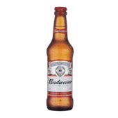 Cerveja Long Neck 330ml 1 UN Budweiser