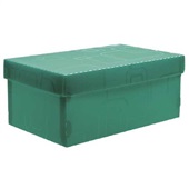 Caixa Organizadora para Mini Sapato 5,7L Verde 28x17x12cm 1 UN Dello