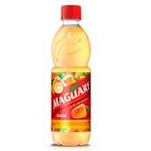 Suco Concentrado Caju Garrafa 500ml 1 UN Maguary