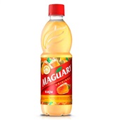 Suco Concentrado Caju Garrafa 500ml 1 UN Maguary