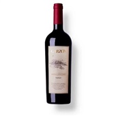Vinho Tinyo Tannat Single Vineyard 750ml 1 UN Garzón