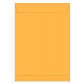 Envelope Saco Kraft Ouro 80g 162x229mm 1 UN Foroni