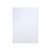 Envelope Saco Branco 75g 240x340mm 10 UN Romitec