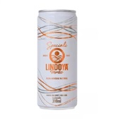 Água Mineral Com Gás Lata Speciali 310ml Lindoya