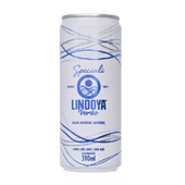 Água Mineral Sem Gás Lata Speciali 300ml Lindoya