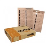 Envelope Vai e Vem Kraft 250x353mm CX 100 UN Scrity