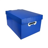 Caixa Organizadora com Tampa Azul 46x32x25cm 1 UN Dello