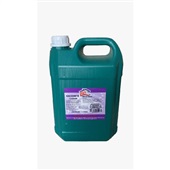 Sabonete Clean Erva-Doce 5 Litros 1 UN Lar