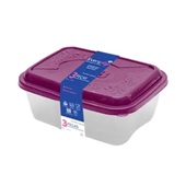 Conjunto de Potes Retangulares Everyday 220ml+400ml+800ml 3 Peças Plás