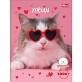 Caderno Quadriculado Tilibra 1/4 Capa Dura Zoom+ C 40 Folhas 1 UN