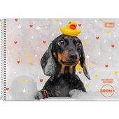 Caderno de Cartografia Tilibra Capa Dura Zoom+ Feminino B 96 Folhas 1
