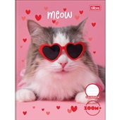 Caderno Tilibra Caligrafia Capa Dura Zoom+ C 40 Folhas 1 UN