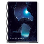 Caderno Universitário Credeal Capa Dura Flow D 80 FL 1 UN