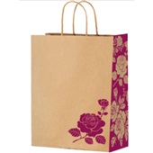 Sacola de Papel Festcolor G 33X26X17cm Rosas 1 UN