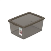 Caixa Organizadora Ordene Fumê OR80559N 15L 1 UN