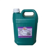 Sabonete Lar Clean Erva Doce 5 Litros 1 UN