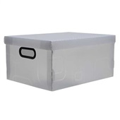 Caixa Organizadora Grande 26L Cristal 42x31x20cm 1 UN Dello