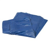 Saco de Lixo Econômico 20 L Azul 40x55cm PT 100 UN Poliplast