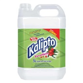 Desinfetante Bactericida 5L Eucalipto 1 UN Kalipto