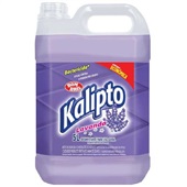 Desinfetante Bactericida 5L Lavanda 1 UN Kalipto