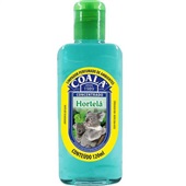 Aromatizante Coala Hortelã 120ml 1 UN