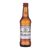 Cerveja Budweiser Long Neck 330ml 1 UN