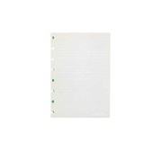 Refil Pautado Pequeno Linha Branca 140 x 200mm 50 FL 1 UN Caderno Inte