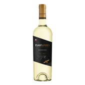 Vinho Branco Suave 750ml 1 UN Paso De Los Andes