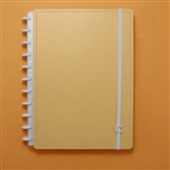 Caderno Inteligente Laranja Pastel 80 FL Grande 1 UN