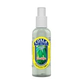 Aromatizante Spray 120ml Eucalipto 1 UN Coala
