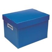 Caixa Organizadora Polionda Grande Azul 022039 1 UN Polibras